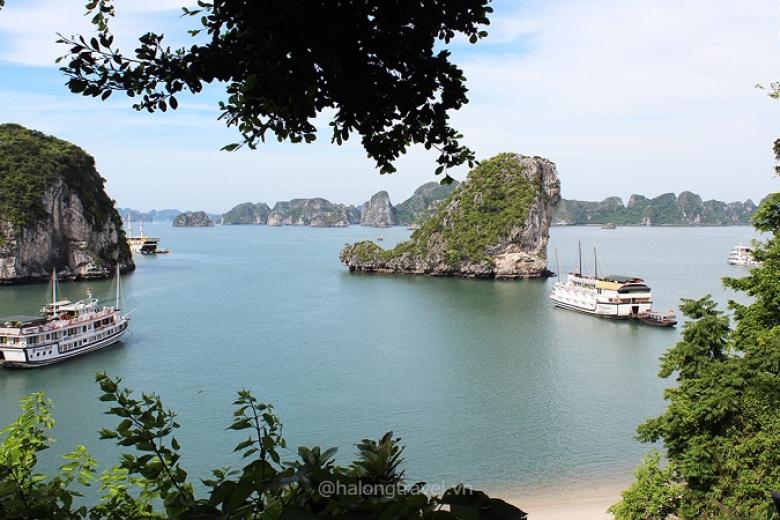 Vịnh Hạ Long