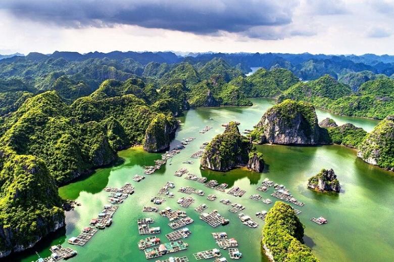 Vịnh Hạ Long