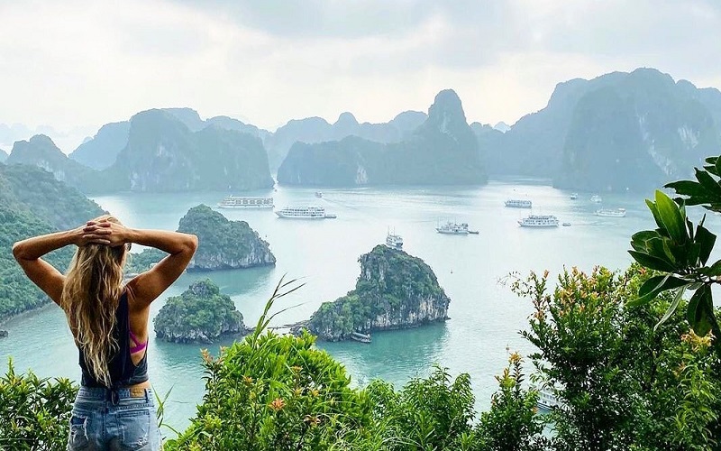 Vịnh Hạ Long