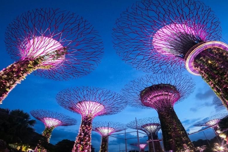Gardens by the Bay