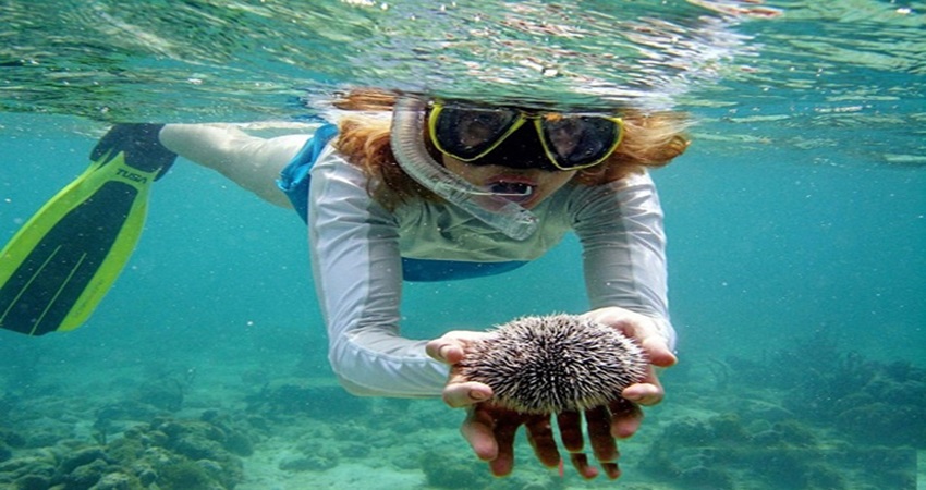 Khám phá thiên nhiên tuyệt đẹp tại đảo Phuket