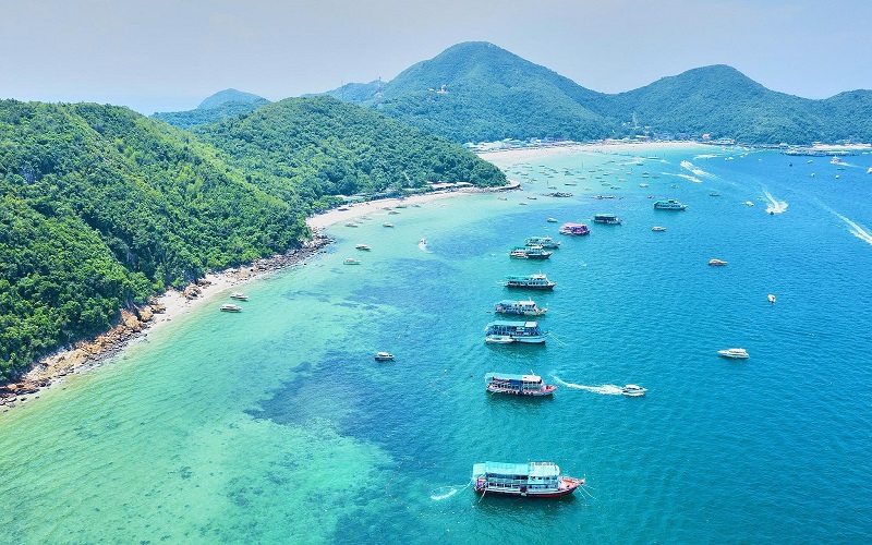 Thiên đường biển Đảo San Hô