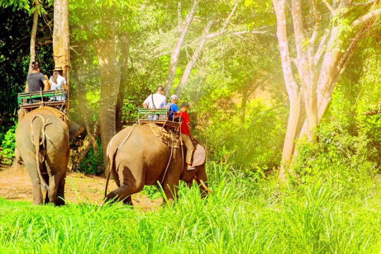 Khu Bảo Tồn Voi Mae Taeng (Elephant Camp)