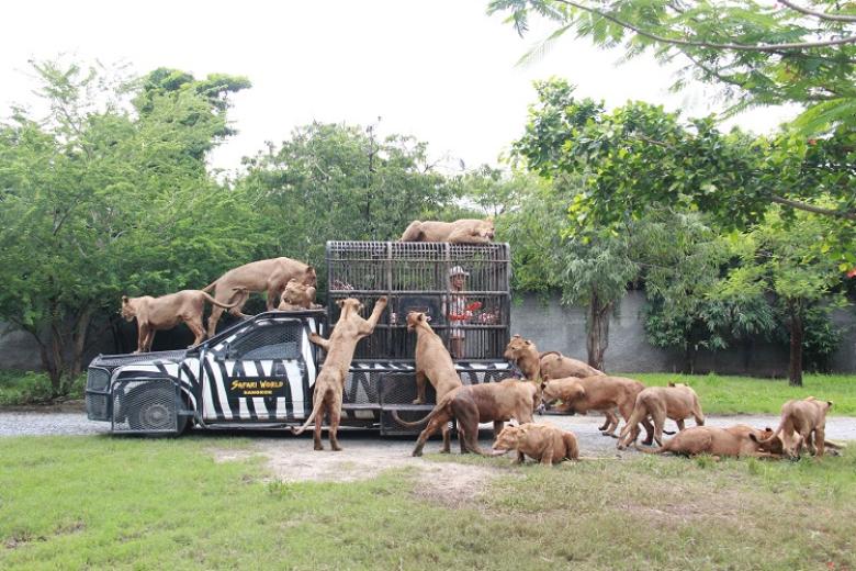 Công viên Safari
