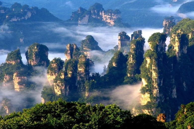 Trương Gia Giới