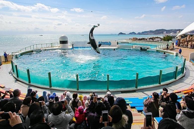 Kamogawa Seaworld