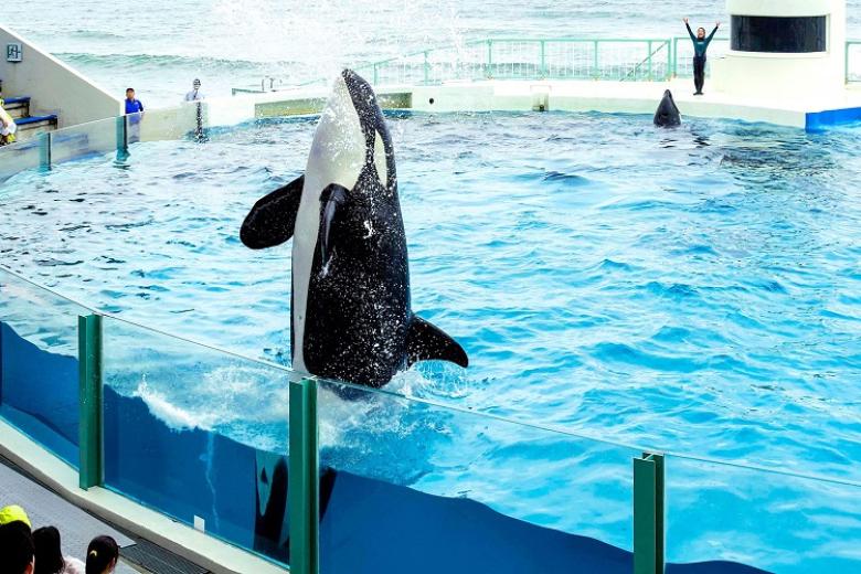 Kamogawa Seaworld