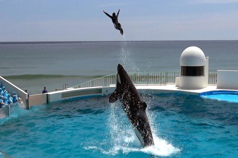 Kamogawa Seaworld