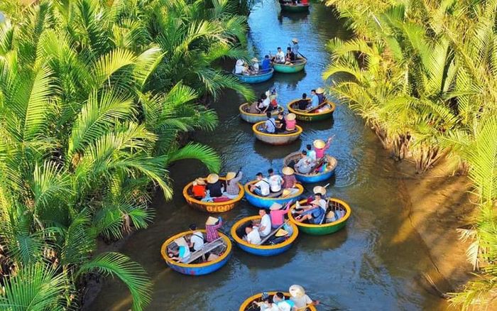 Du khách đi thuyền thúng tham quan Rừng dừa bảy mẫu
