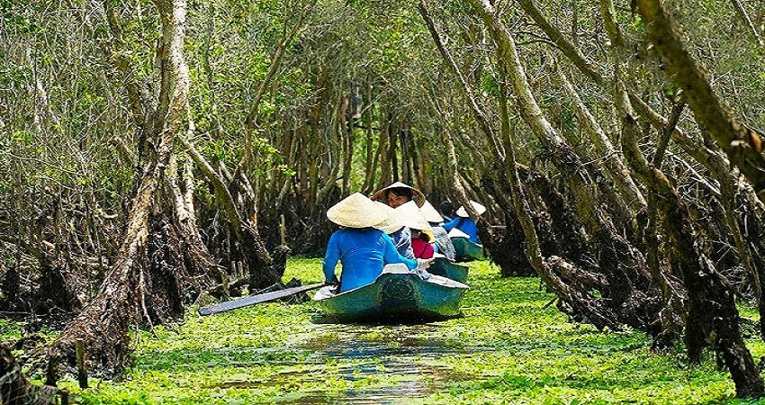 Rừng Tràm Trà Sư