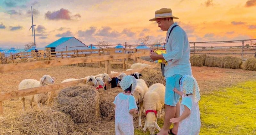 Khách trải nghiệm