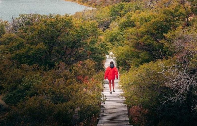 Tại  Torres del Paine, du khách có thể thong dong trên những con đường mòn đi bộ  