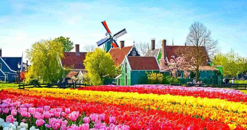 Làng Zaanse Schans Hà Lan