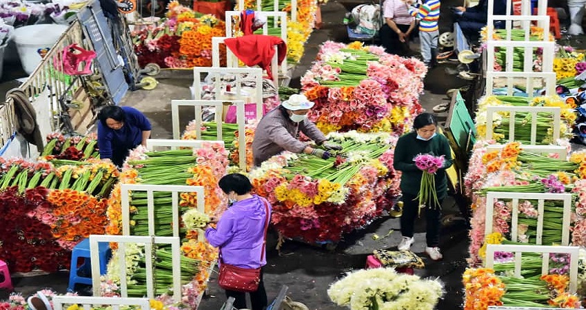 Chợ Hoa Đấu Nam 