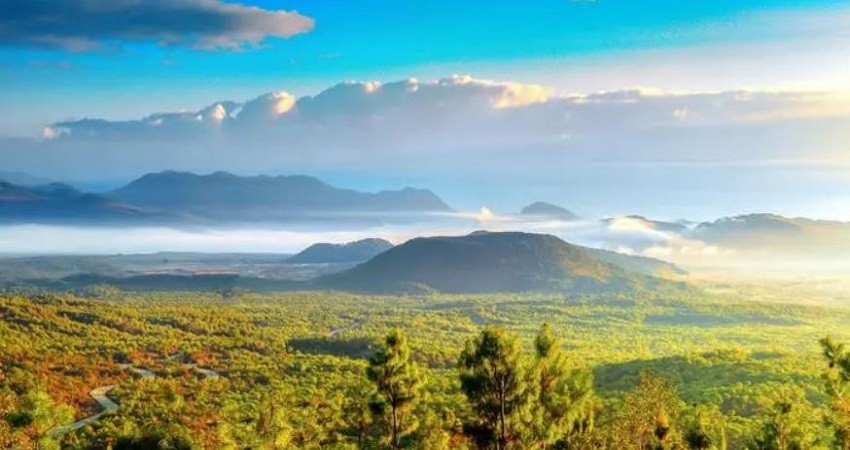 Địa nhiệt đằng xung