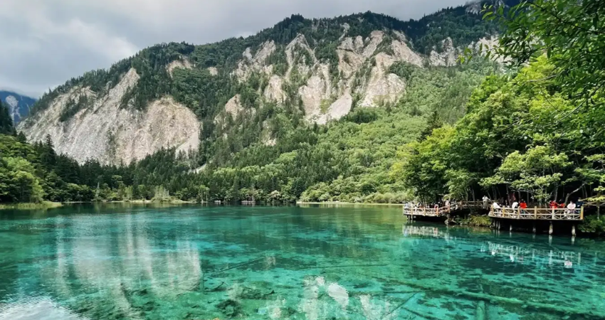 Cửu Trại Câu