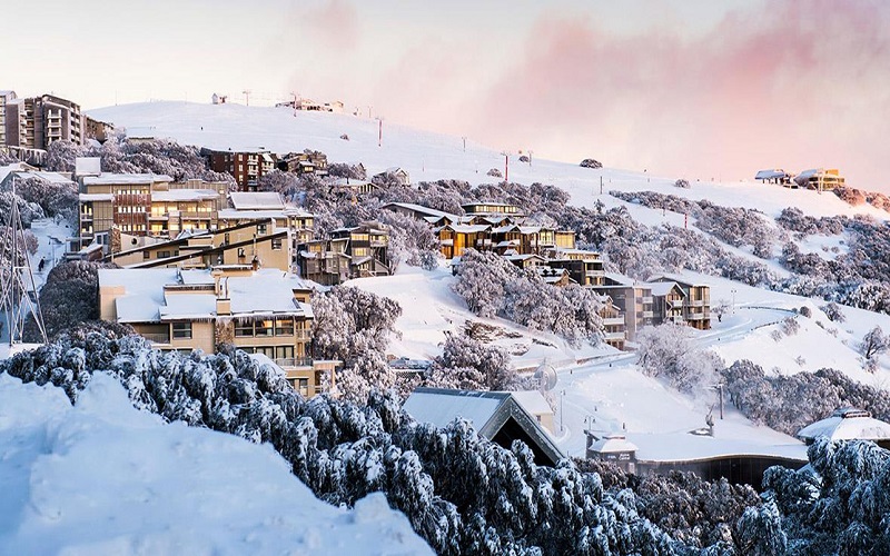 Núi tuyết Mount Buller