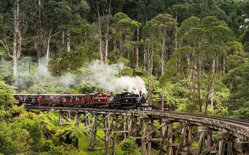 Tàu hỏa hơi nước Puffing Billy Railway