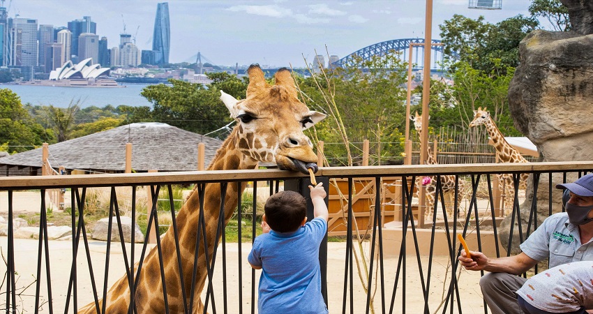 Sydney Zoo