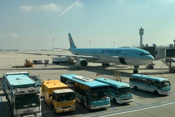TIPS săn vé máy bay Hàn Quốc giá rẻ có thể bạn chưa biết