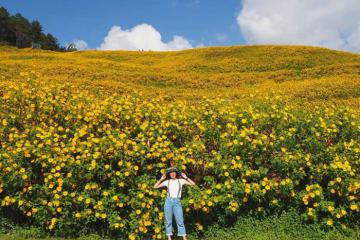 Kinh nghiệm mua vé máy bay đến Thái Lan, du lịch Mae Hong Son để ngắm dã quỳ vào mùa thu