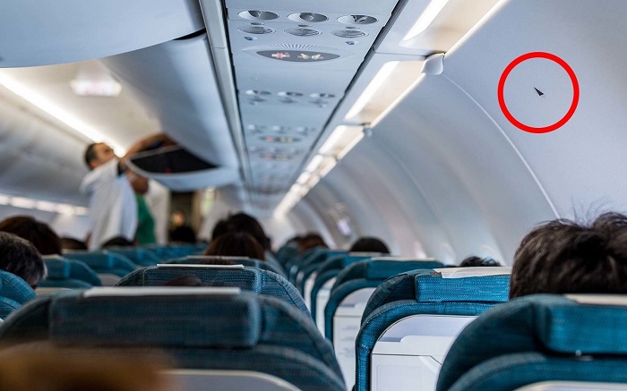 bộ phận máy bay: Trong một vài hàng ghế, mọi người sẽ thấy có một miếng dán nhỏ hình tam giác màu đen hoặc màu đỏ được đặt ở đó.
