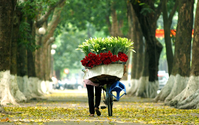 kinh nghiệm du lịch hà nội mùa thu