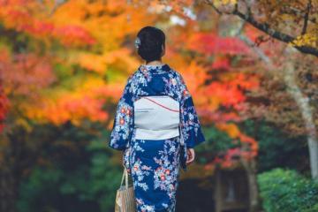 Kinh nghiệm bay đi Nhật mùa thu, khám phá 4 địa điểm ngắm lá đỏ đẹp 'chẳng nỡ về'