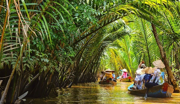 Hòa mình vào không khí trong lành tại khu du lịch sinh thái Cồn Quy