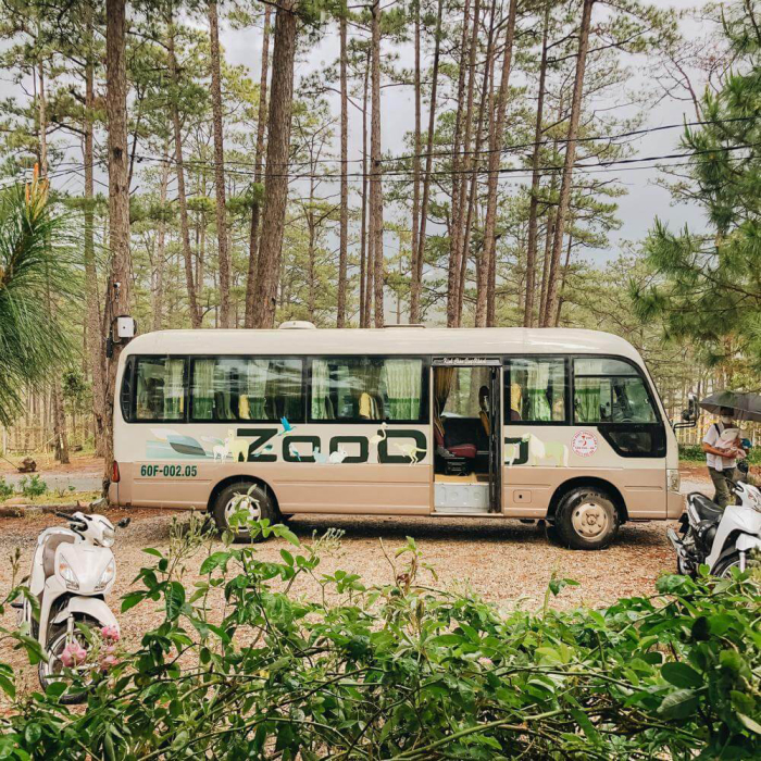 Vườn thú ZooDoo xe bus
