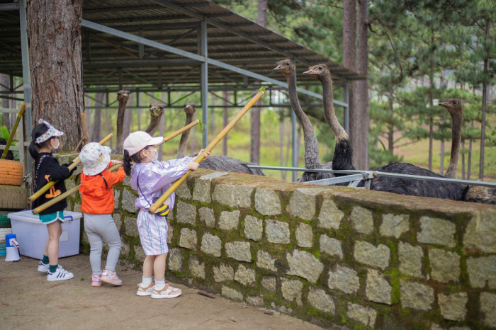 Vườn thú Zoodoo đa dạng các loài động vật 