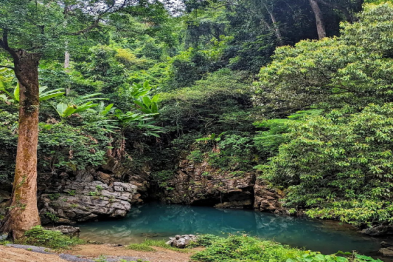 Review du lịch Quảng Bình: Mùa nào đẹp, Ăn gì ngon, Chơi gì vui nhất