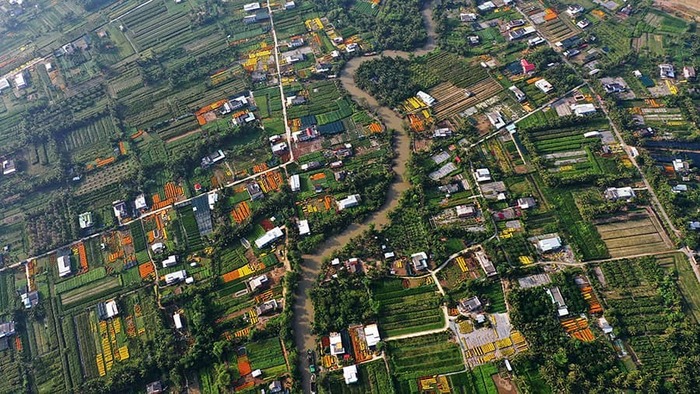 Vườn trái cây cái mơn được chia thành các tiều vùng