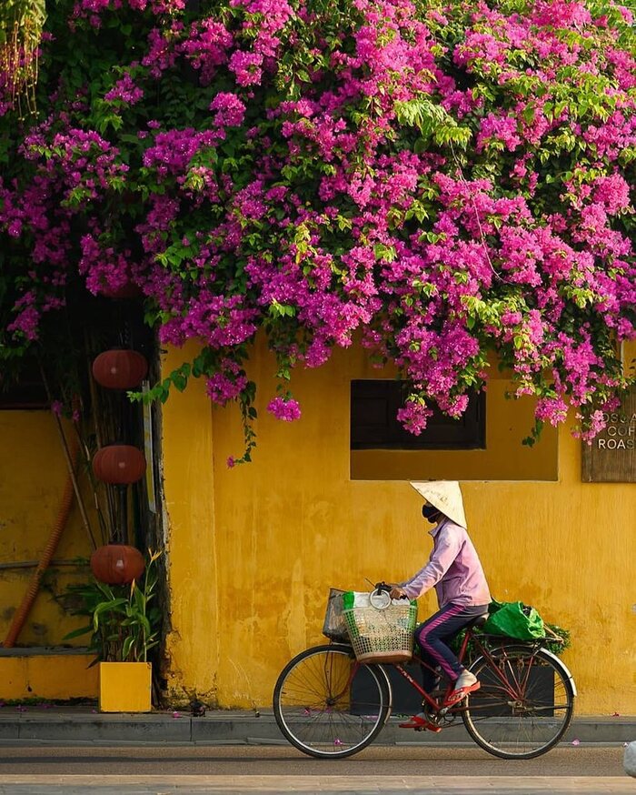 Du khách có thể đặt vé máy bay để du lịch Hội An 2 ngày 1 đêm