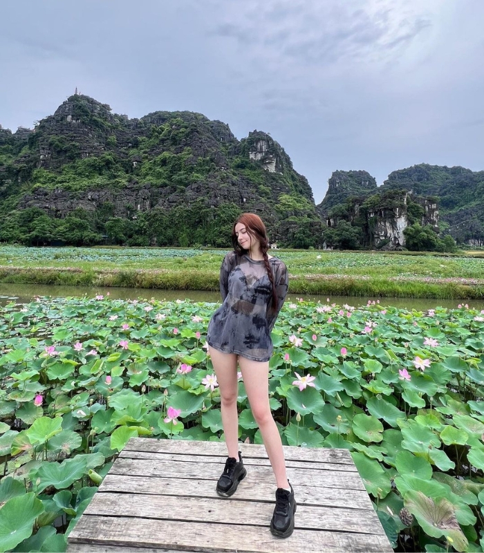 Hồ hoa sen tại Tam Cốc Ninh Bình vẻ đẹp tuyệt vời