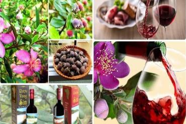 Say trong hương vị đại ngàn của rượu Sim khi đi tour du lịch đường bay Măng Đen