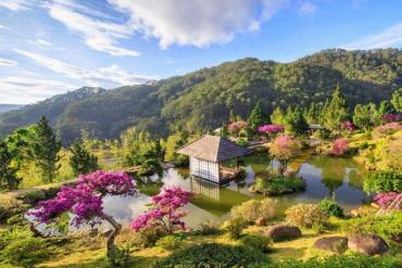 Gợi ý lịch trình tour đường bay Đà Nẵng Đà Lạt: Chinh phục cao nguyên thơ mộng