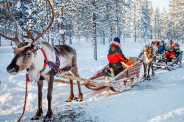 Tour đường bay Phần Lan: Tận hưởng mùa đông Bắc Âu đầy hấp dẫn