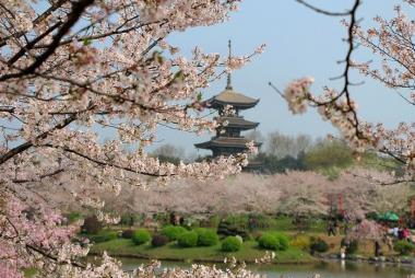 Tour Trung Quốc 7N6Đ: Từ HCM - Khai Phong - Lạc Dương - Tây An, Bay Southern Airlines + KS 4*