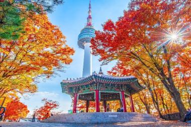 Tour Hàn Quốc 5N4Đ: HCM - Seoul - Nami - Everland, Vietnam Airlines (Tháng 10-11-12)