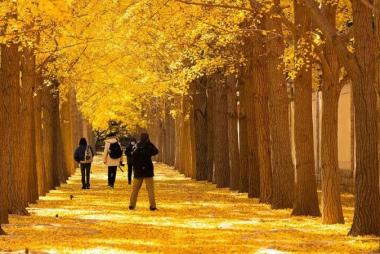 Tour Trung Quốc 7N6Đ: HCM - Thượng Hải - Ô Trấn - Hàng Châu - Bắc Kinh, No Shopping, Vietnam Airlines (Tháng 11)