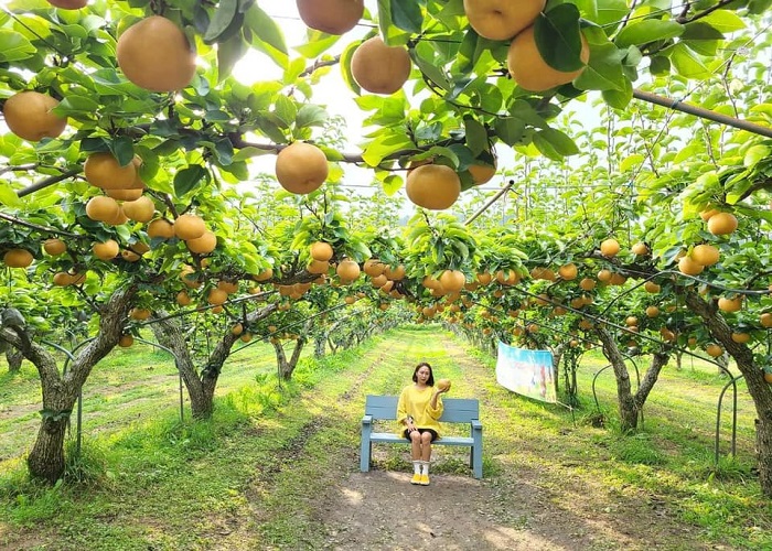 Vui chơi, tham quan