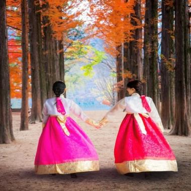 Tour Hàn Quốc 5N4Đ: Từ Hà Nội - Seoul - Nami - Everland - Thư Viện Sách - Hái Táo ( Trưa - Tối), Bay VN + KS 4*