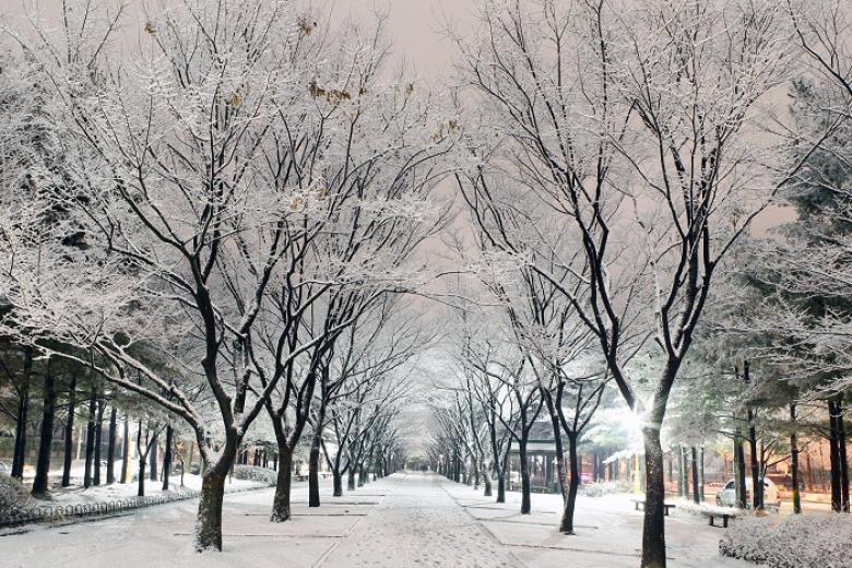 Đảo Nami mùa đông