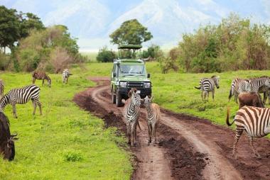 Tour Nam Phi 9N8Đ: Từ HCM - Johannesburg - Pretoria - Safari Game Lodge - Hermanus - Núi Bàn - Cape Town