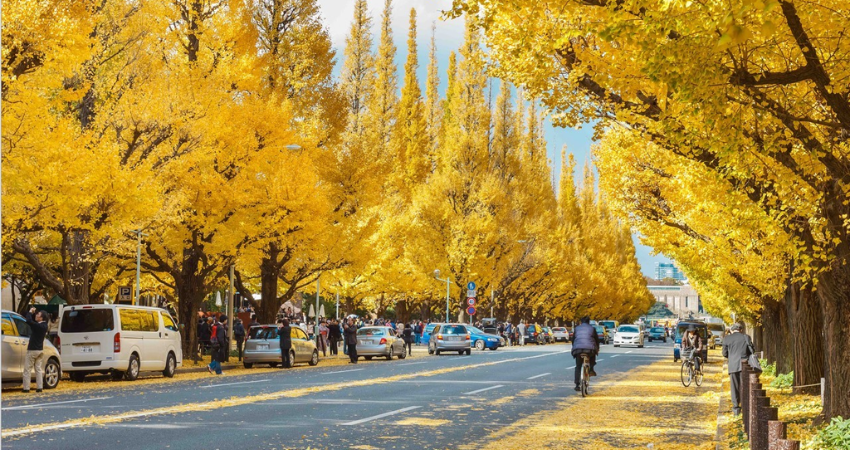 Công viên Meiji Jingu Gaien