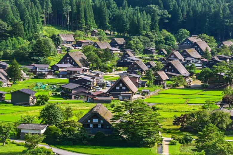 Làng cổ Shirakawago