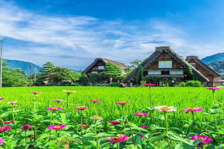 Làng cổ Shirakawago