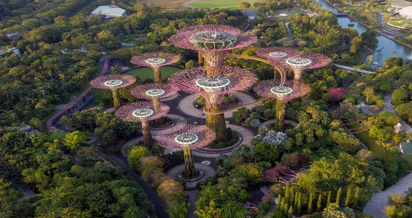 Gardens by the Bay là một siêu công viên sinh thái khổng lồ tại trung tâm Singapore