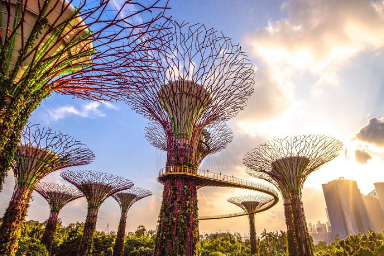 Gardens by the Bay